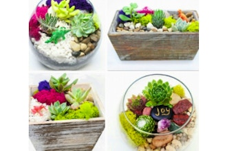 Plant Nite: Succulent Garden in Wood Box or Glass